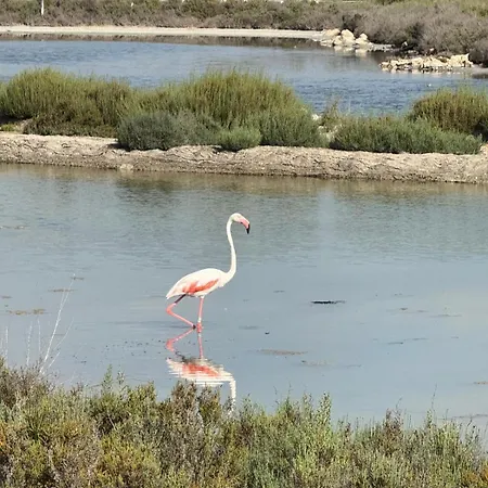 Estrella Lejlighed Santa Pola